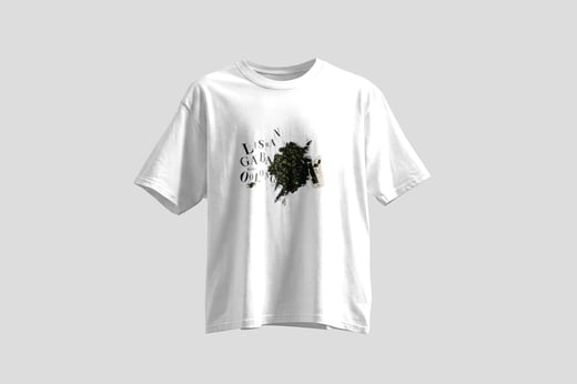 Tee — Lishan GABA Oolong
