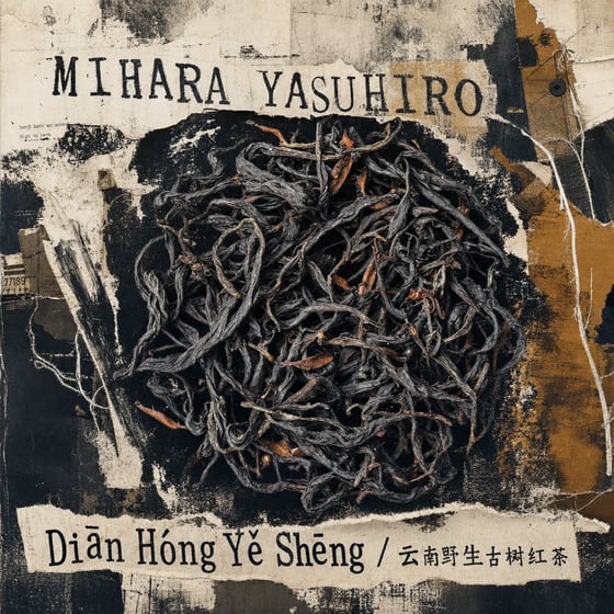 Diān Hóng Yě Shēng