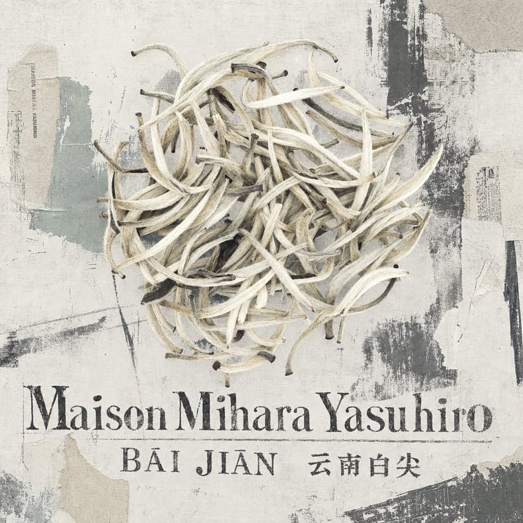 The design — Bái Jiān